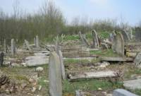 В Кривом Роге трое вандалов надругались над 60 могилами